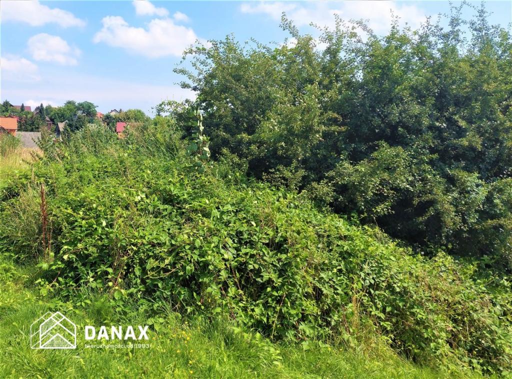 Działka rekreacyjna 1,14&nbsp;ha, Mników - zdjęcie 2