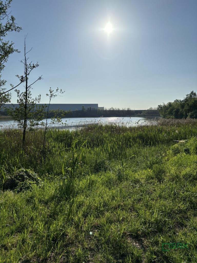 Działka inwestycyjna 5,68 ha, Ruda Śląska, Asfaltowa - zdjęcie 4