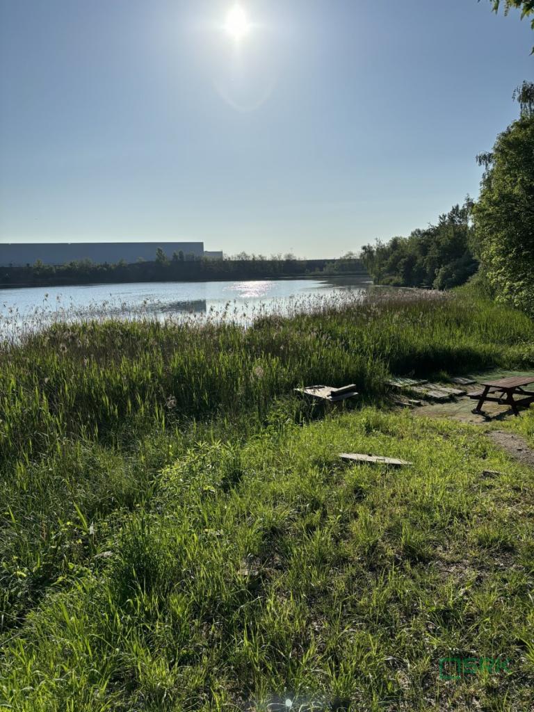 Działka inwestycyjna 5,68 ha, Ruda Śląska, Asfaltowa - zdjęcie 5