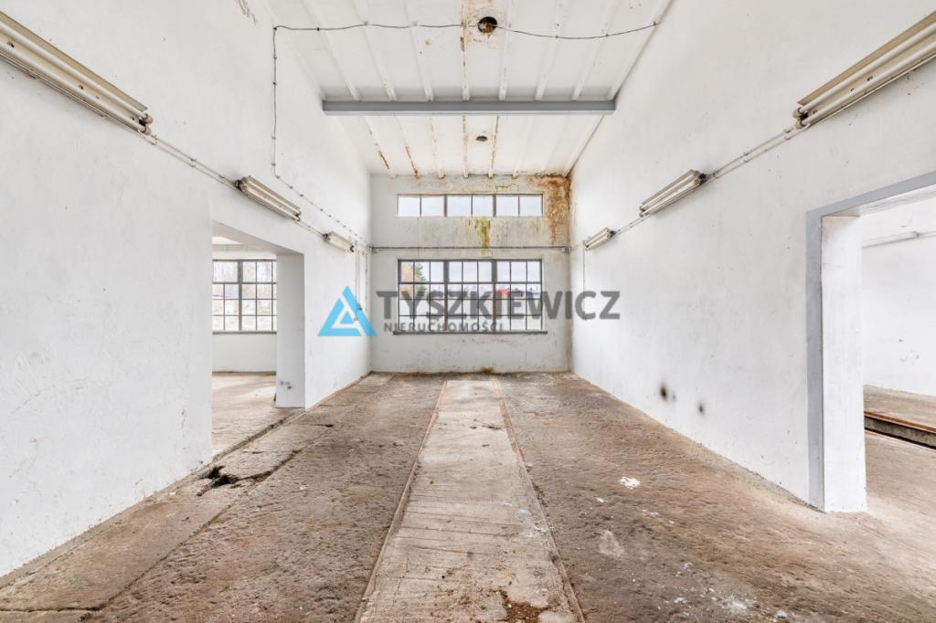 Wyjątkowa oferta terenu inwestycyjnego w Dretyniu - zdjęcie 11