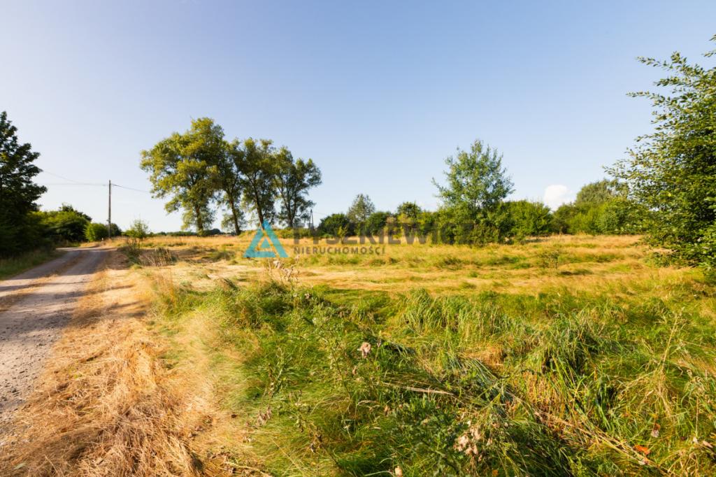 Działka pod zabudowę- gmina Nowa Wieś Lęborska - zdjęcie 5