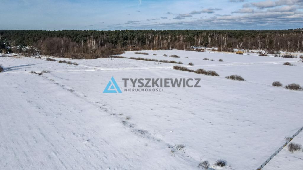 działka rolna | 0,3001 ha | Tupadły | morze | las - zdjęcie 11