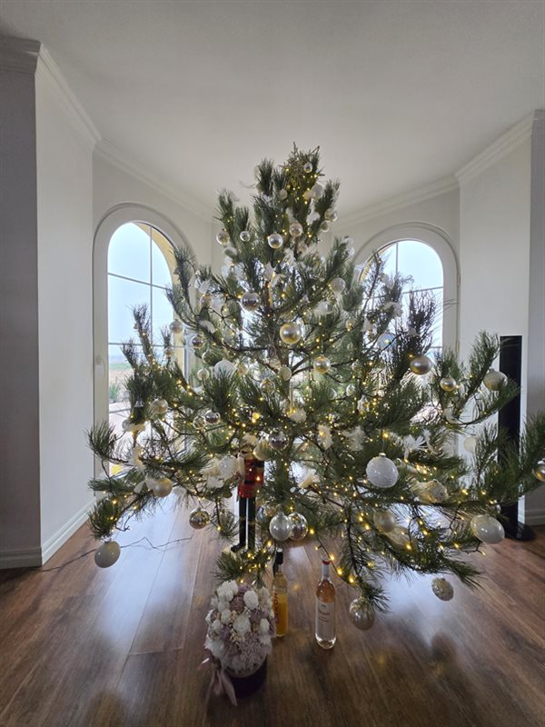 Dom 309 m², Brójce, Strażacka - zdjęcie 8