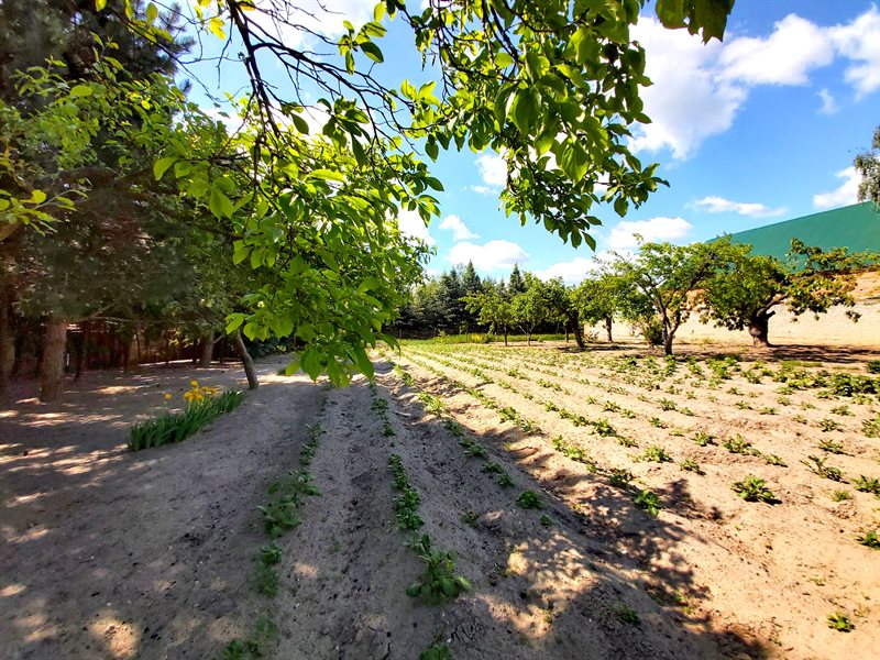 Działka budowlana 903&nbsp;m², Żakowo, Żakowo - zdjęcie 1