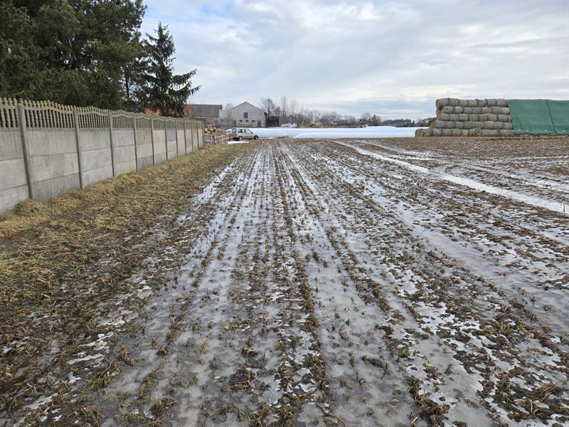 Działka budowlana 468&nbsp;m², Żakowo, Żakowo - zdjęcie 4