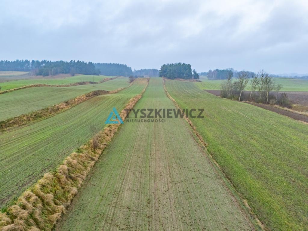 Działki budowlana oraz rolna Lubieszyn - zdjęcie 14