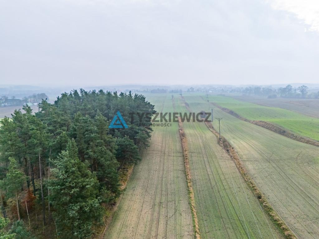 Działki budowlana oraz rolna Lubieszyn - zdjęcie 15