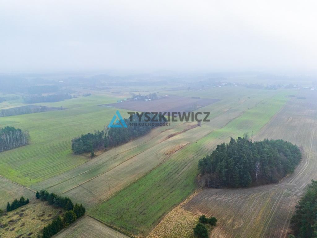 Działki budowlana oraz rolna Lubieszyn - zdjęcie 12