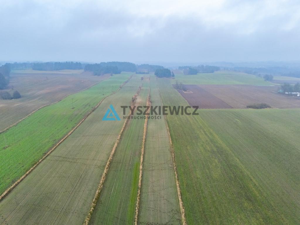 Działki budowlana oraz rolna Lubieszyn - zdjęcie 7