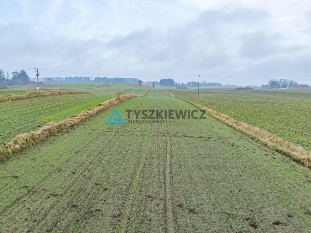 Działki budowlana oraz rolna Lubieszyn - zdjęcie 18