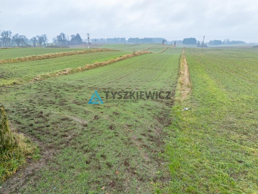 Działki budowlana oraz rolna Lubieszyn - zdjęcie 20