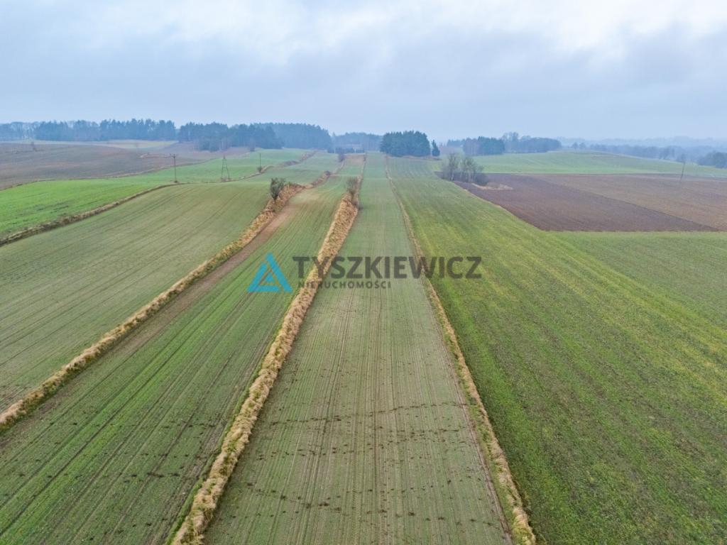 Działki budowlana oraz rolna Lubieszyn - zdjęcie 9