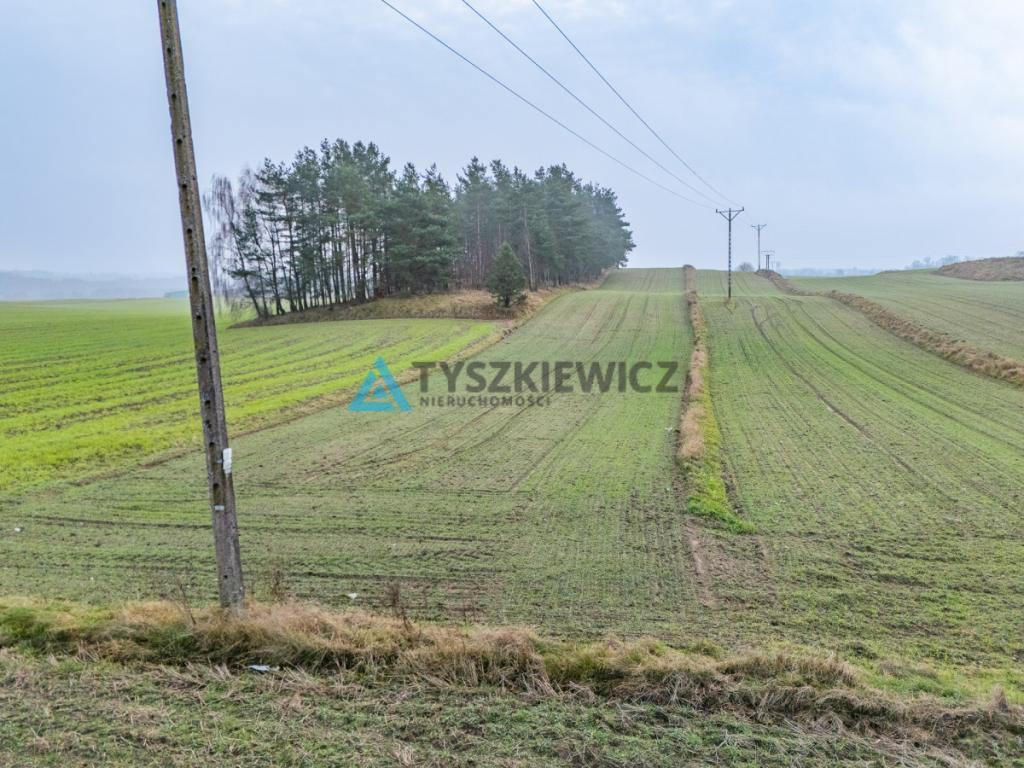 Działki budowlana oraz rolna Lubieszyn - zdjęcie 17