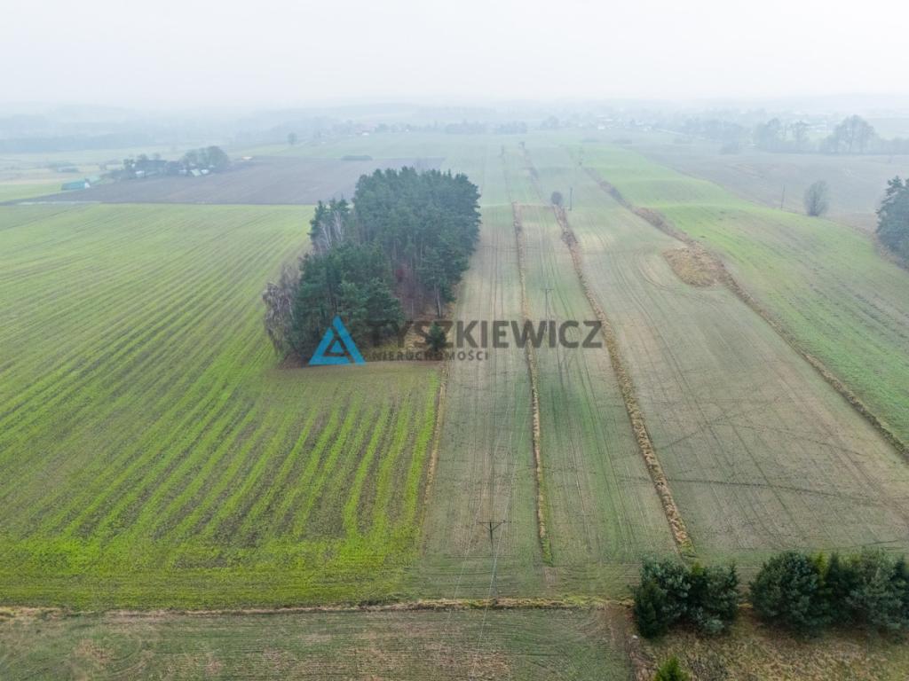 Działki budowlana oraz rolna Lubieszyn - zdjęcie 11