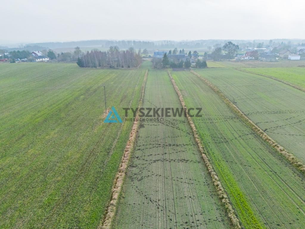 Działki budowlana oraz rolna Lubieszyn - zdjęcie 6