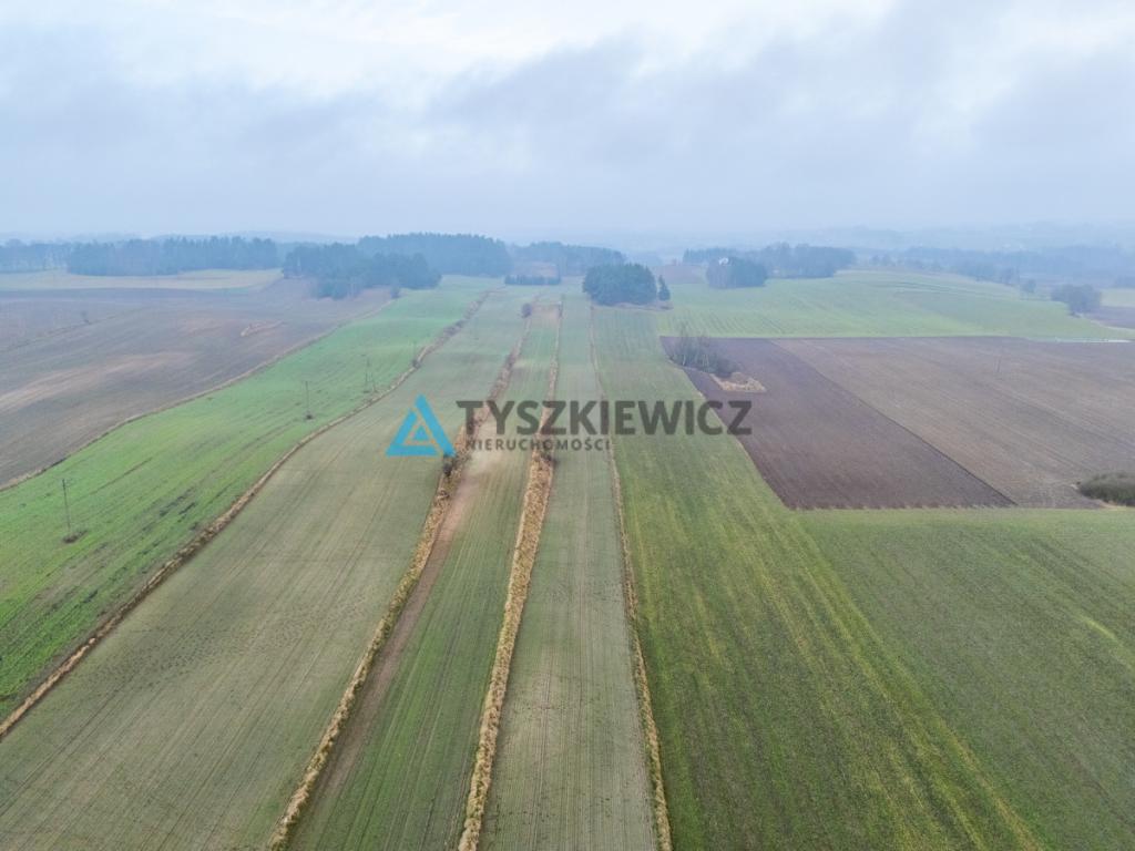 Działki budowlana oraz rolna Lubieszyn - zdjęcie 22