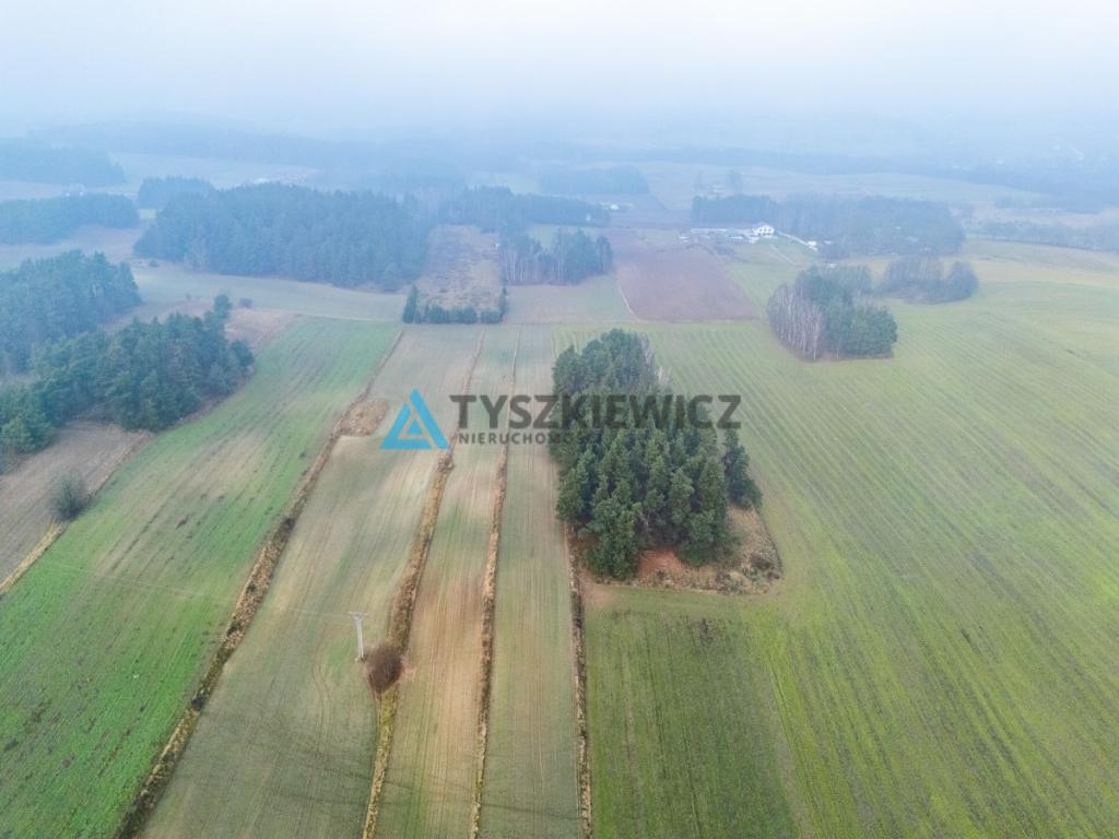 Działki budowlana oraz rolna Lubieszyn - zdjęcie 8