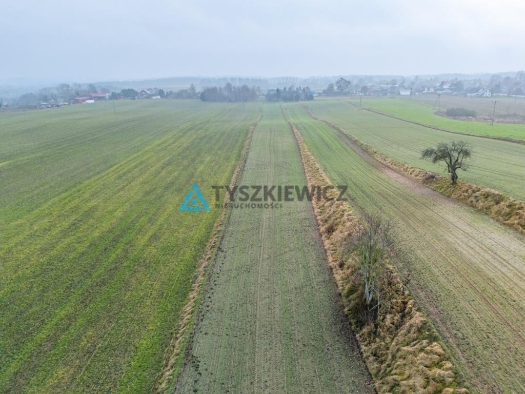Działki budowlana oraz rolna Lubieszyn - zdjęcie 13