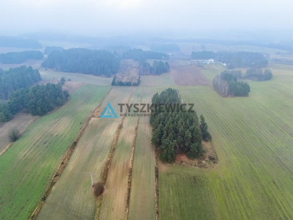 Działki budowlana oraz rolna Lubieszyn - zdjęcie 19