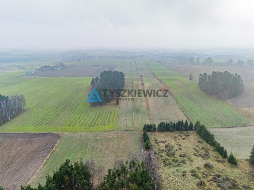 Działki budowlana oraz rolna Lubieszyn - zdjęcie 5