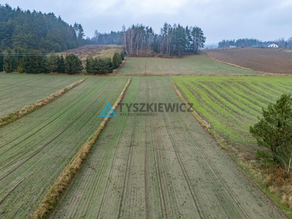 Działki budowlana oraz rolna Lubieszyn - zdjęcie 16