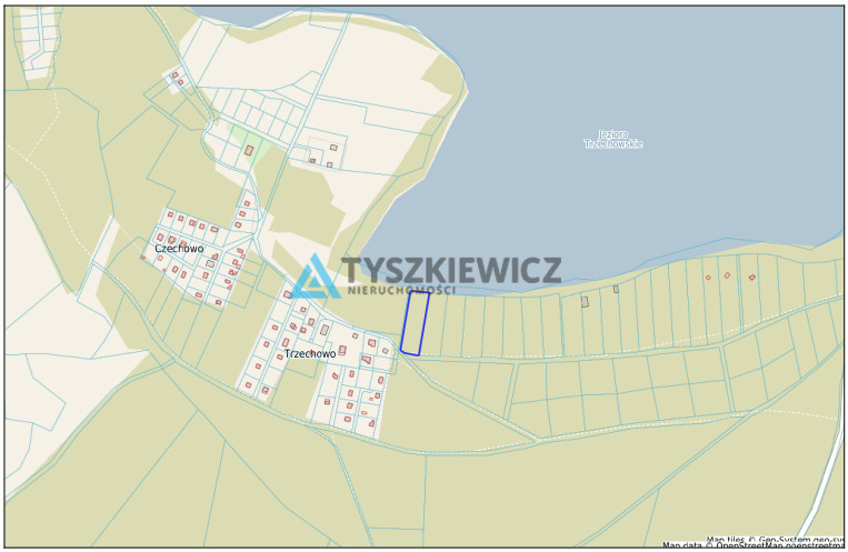 Las z linią brzegową jeziora - PIECE %NOWA CENA% - zdjęcie 4