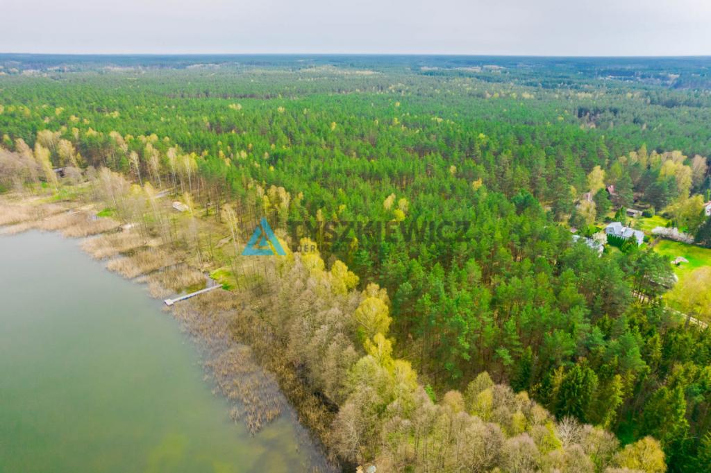 Las z linią brzegową jeziora - PIECE %NOWA CENA% - zdjęcie 3