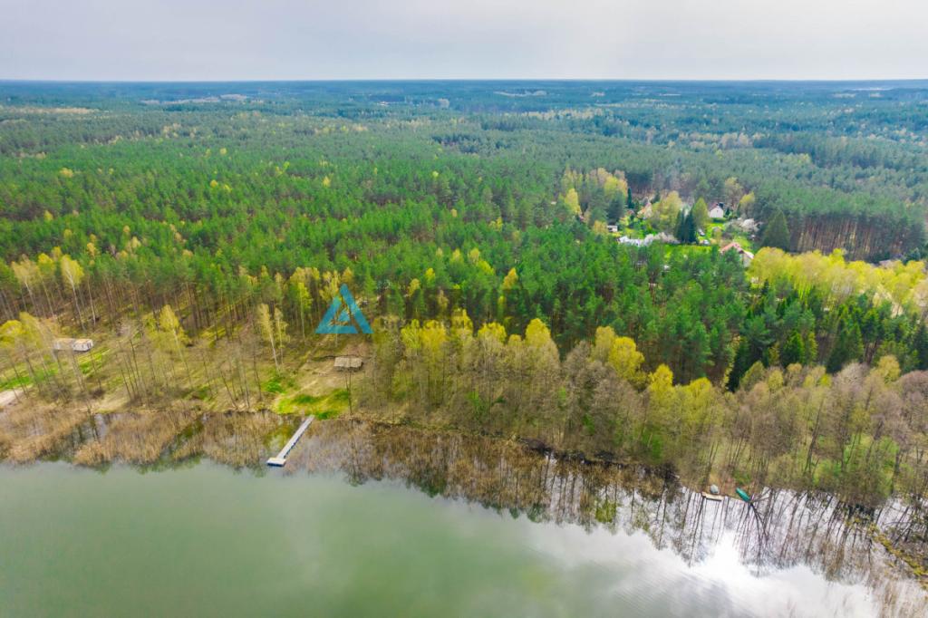 Las z linią brzegową jeziora - PIECE %NOWA CENA% - zdjęcie 11