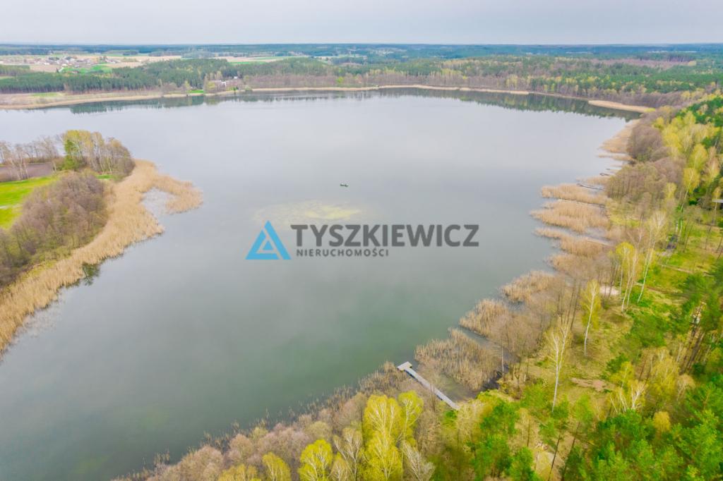 Las z linią brzegową jeziora - PIECE %NOWA CENA% - zdjęcie 10