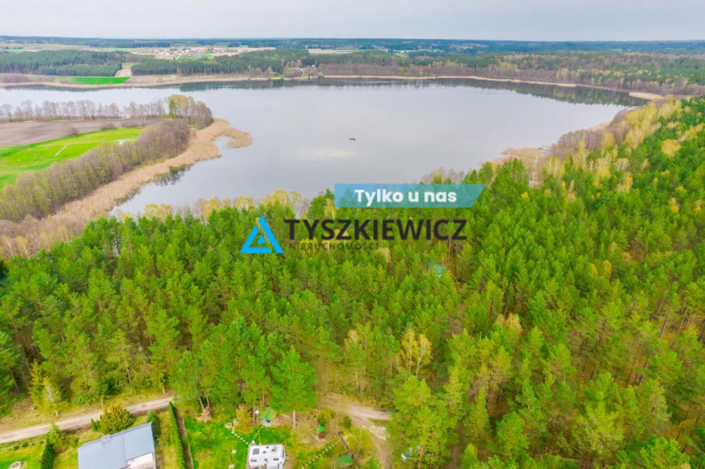 Las z linią brzegową jeziora - PIECE %NOWA CENA% - zdjęcie 1