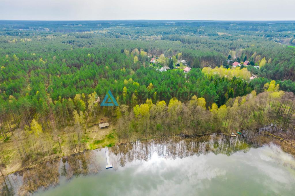 Las z linią brzegową jeziora - PIECE %NOWA CENA% - zdjęcie 2