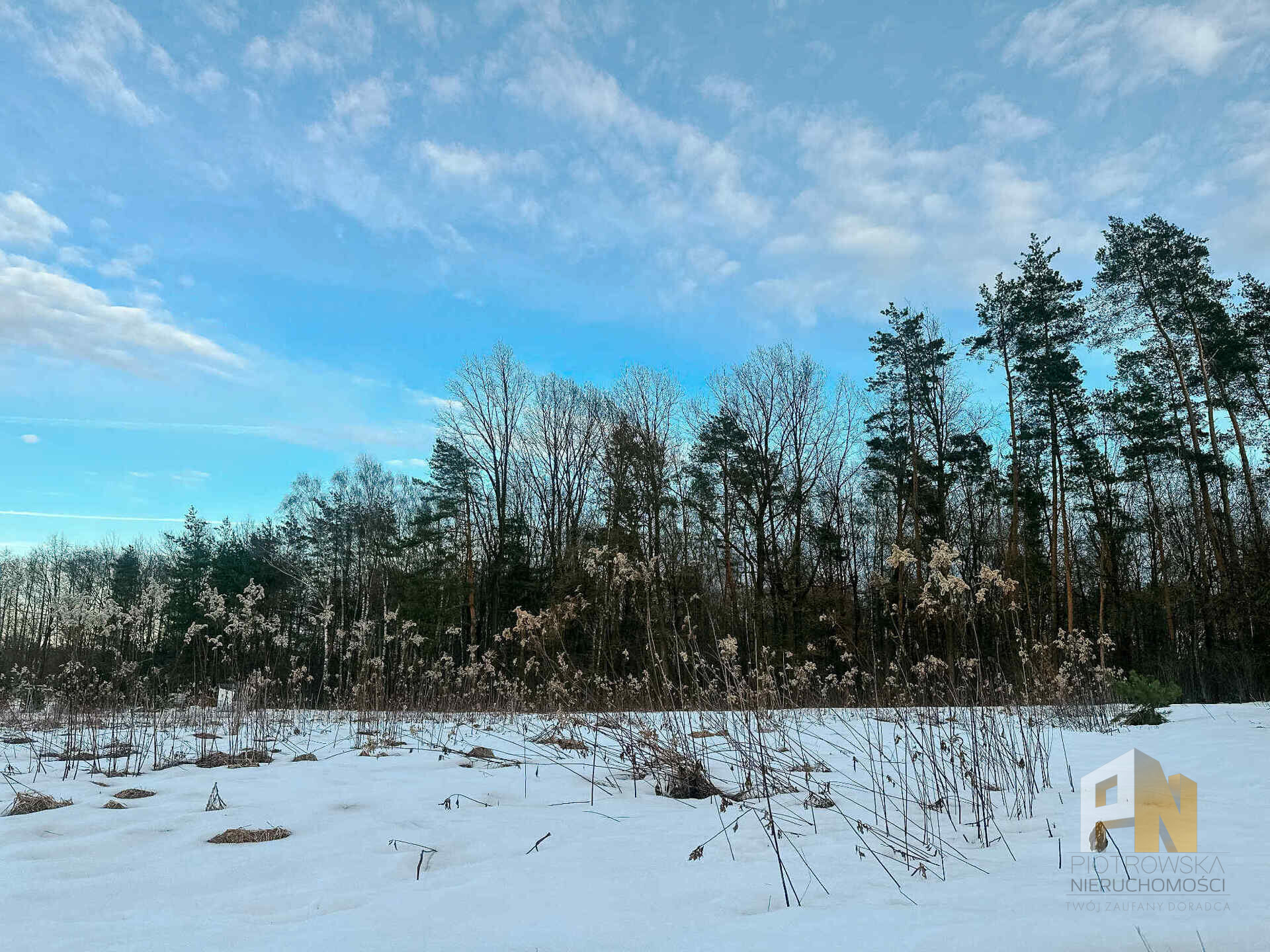 Działka 2890 ha Pogórska Wola - zdjęcie 3