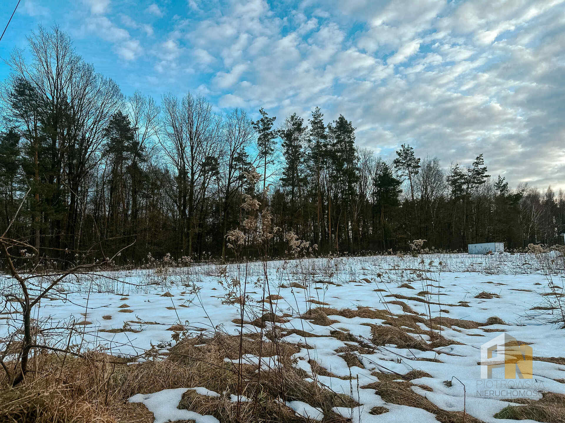 Działka 2890 ha Pogórska Wola - zdjęcie 6