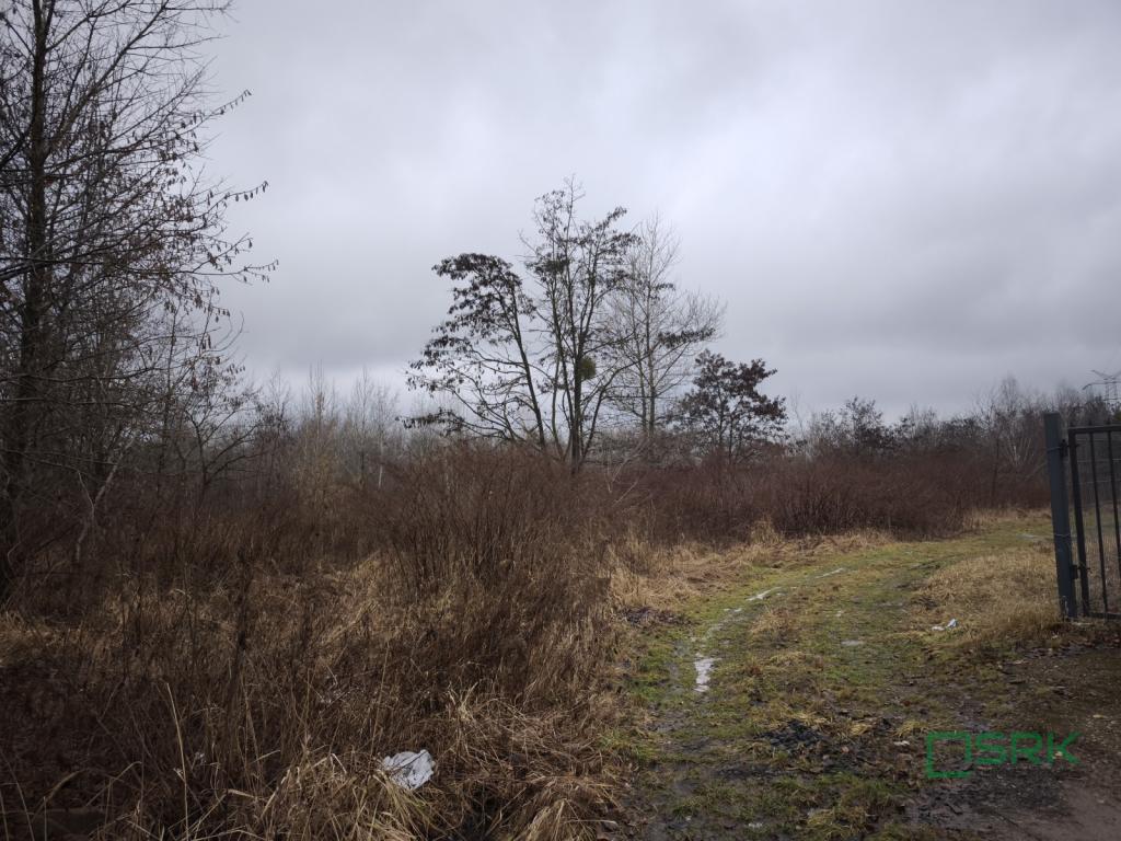 Działka inwestycyjna 1,53 ha, Radzionków, Nałkowskiej - zdjęcie 2
