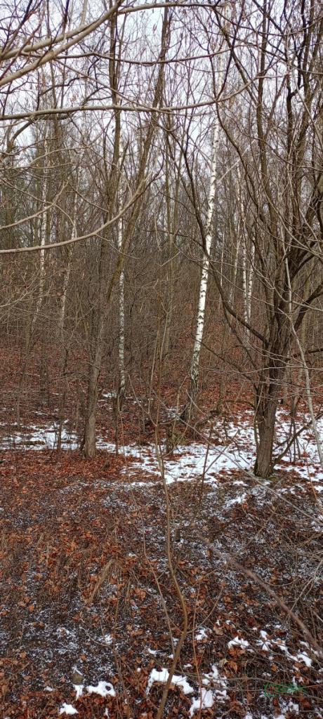 Działka inwestycyjna 9,40&nbsp;ha, Wojkowice, Sobieskiego - zdjęcie 3