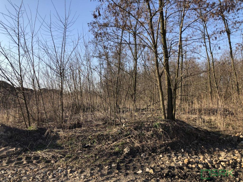 Działka inwestycyjna 4670 m², Bytom, Kędzierzyńska - zdjęcie 2