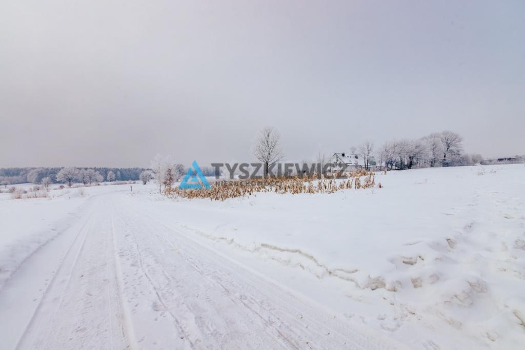 Działka Szemudzka Huta 2001 m2 - zdjęcie 8