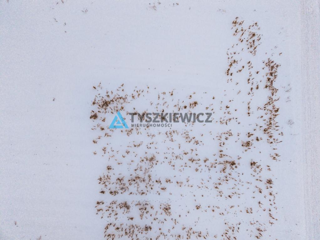 Działka Szemudzka Huta 2001 m2 - zdjęcie 5