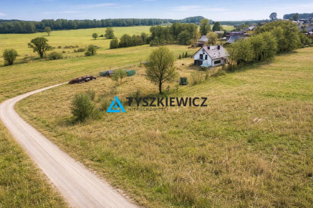 Działka Szemudzka Huta 2001 m2 - zdjęcie 1