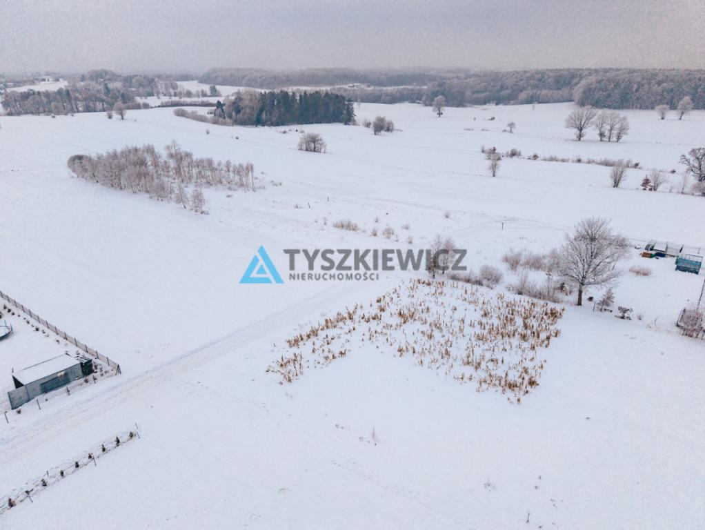 Działka Szemudzka Huta 2001 m2 - zdjęcie 7