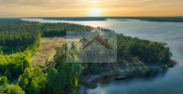 Działka inwestycyjna 5,15&nbsp;ha, Rybitwy - zdjęcie 2