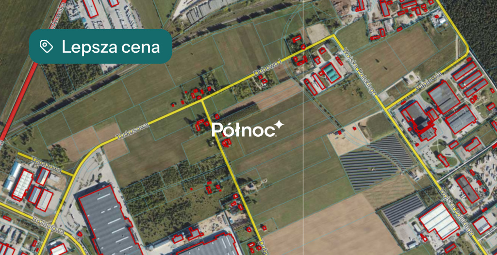 Działka inwestycyjna 9839&nbsp;m², Dubowo Pierwsze - zdjęcie 3