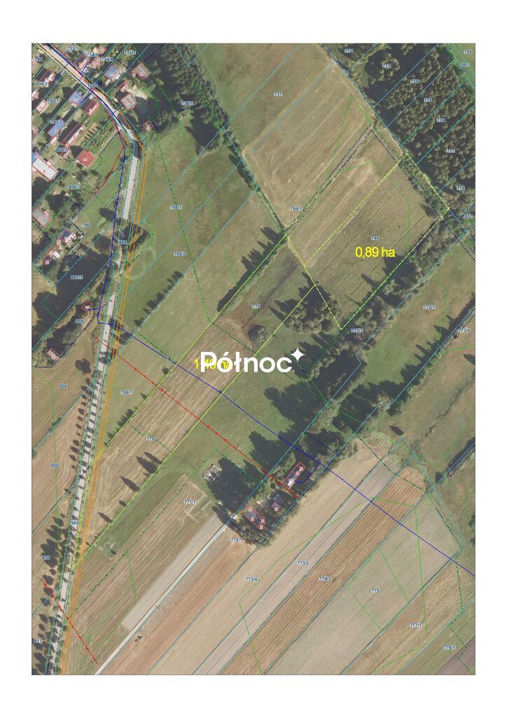 Działka rolna 2,39 ha, Orłowicze - zdjęcie 5