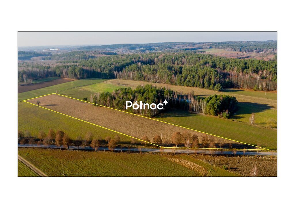 Działka rolna 1,42 ha, Orłowicze - zdjęcie 4