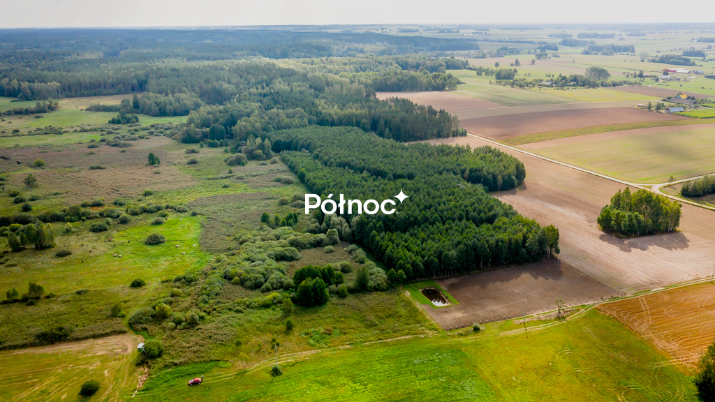 Działka rolna 1,27&nbsp;ha, Zajezierce - zdjęcie 6