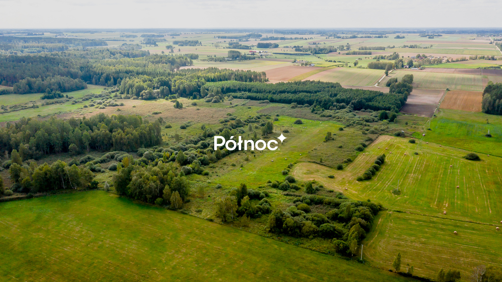 Działka rolna 1,27&nbsp;ha, Zajezierce - zdjęcie 5