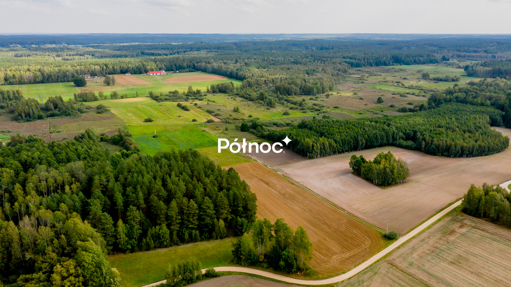 Działka rolna 1,27&nbsp;ha, Zajezierce - zdjęcie 4