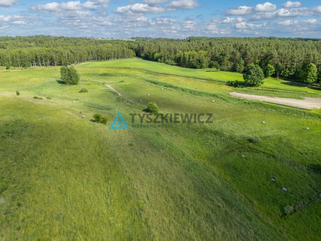 Działka rolna 6ha Głodowo! - zdjęcie 19
