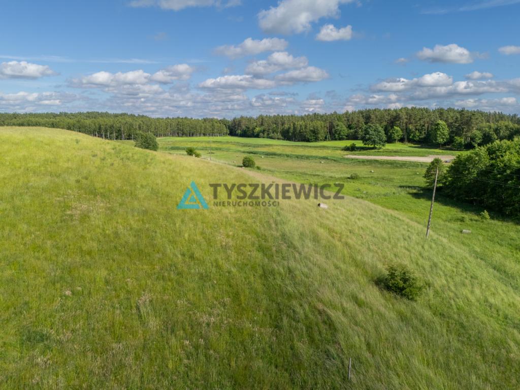 Działka rolna 6ha Głodowo! - zdjęcie 20