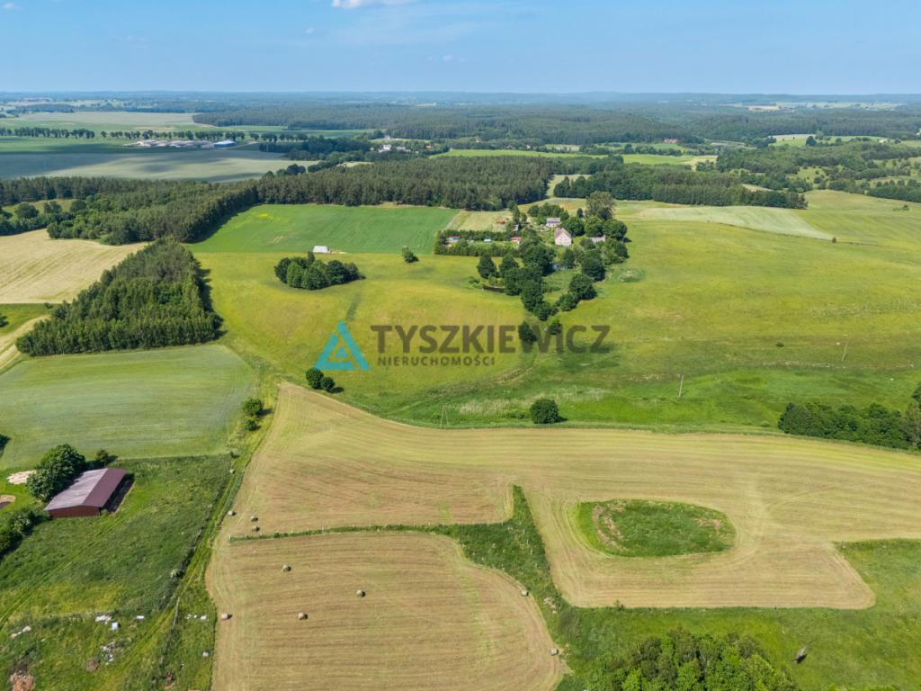 Działka rolna 6ha Głodowo! - zdjęcie 3